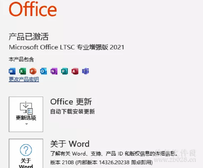 Microsoft Office 2021 专业增强官方正式版
