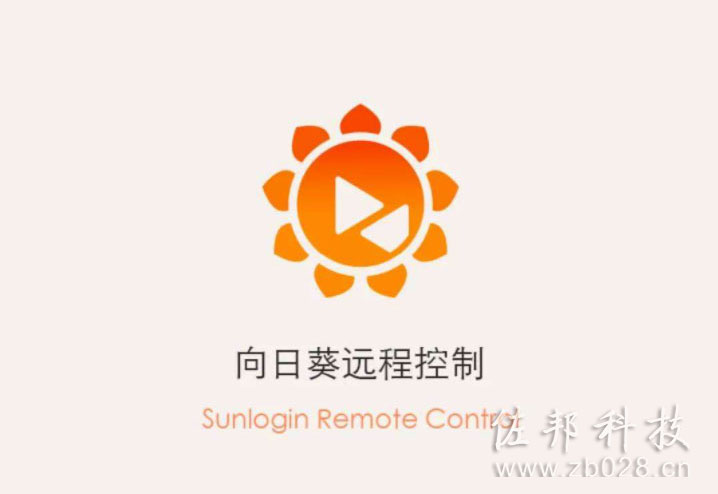 向日葵远程控制免安装版绿色破解版