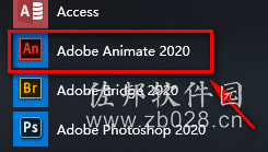 Animate CC2020