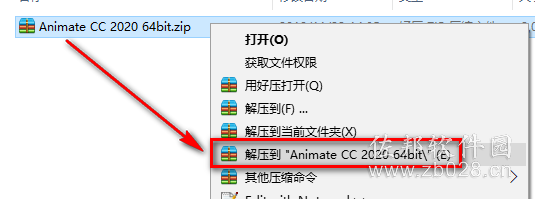 Animate CC2020