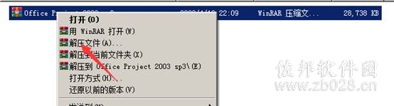 Project 2003